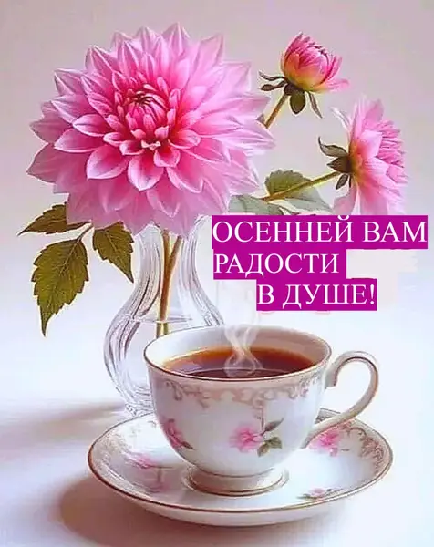 g-w-bp-we-webpp-webp-t