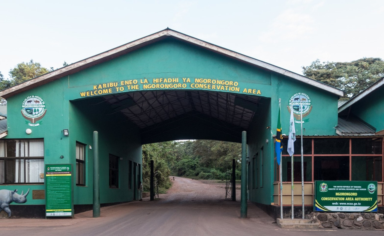 Ngorongoro Safari