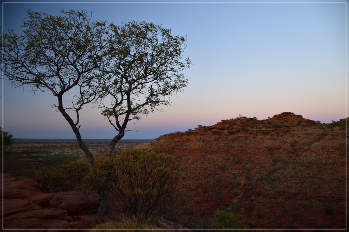 Red Center - Australia (I): toma de contacto (31)