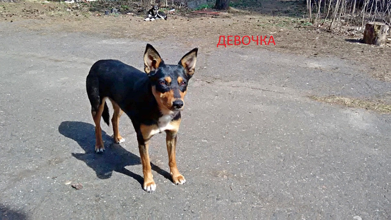 4898D08F-DA67-4757-85DD-4C843CF5B53C