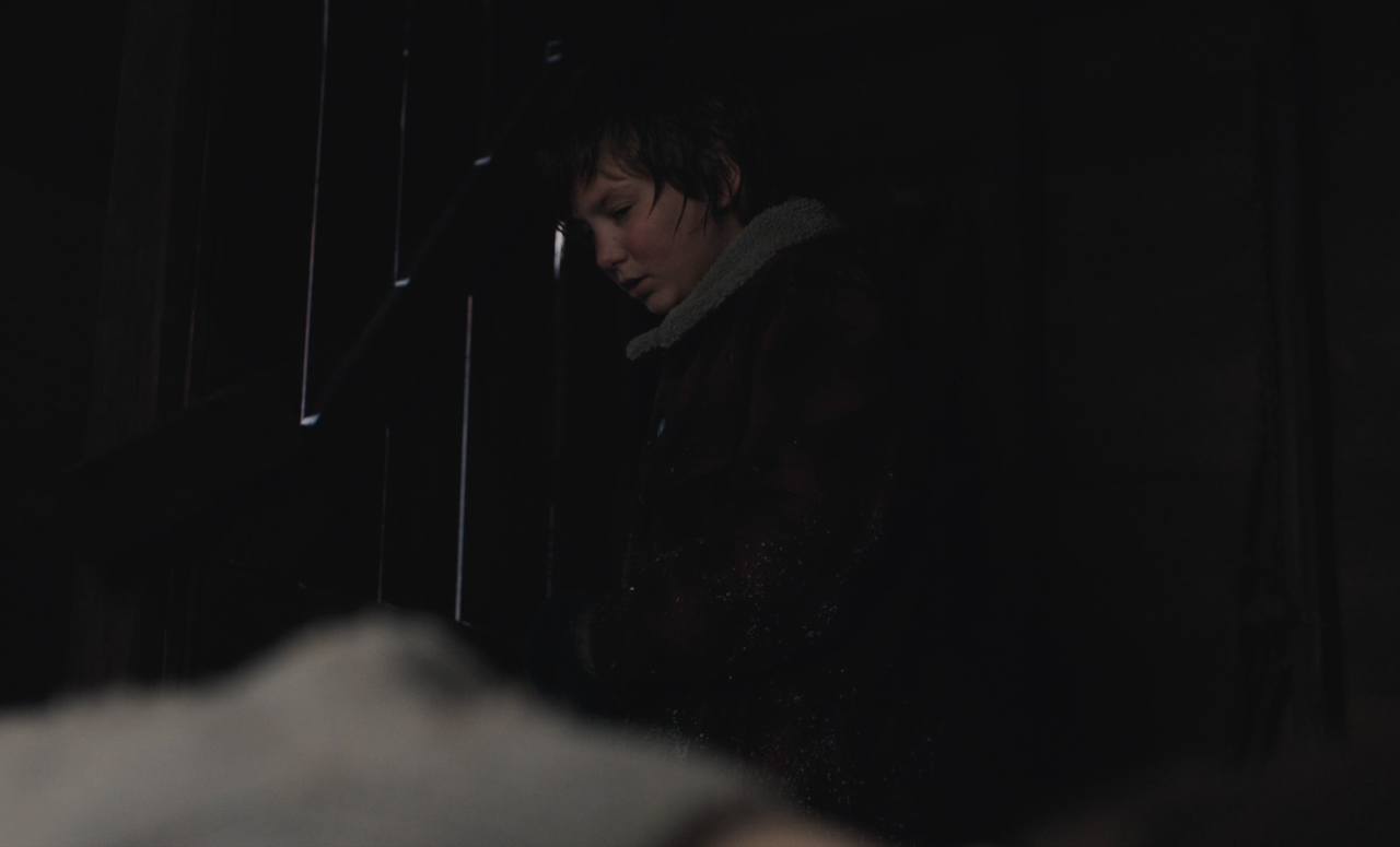 Light of My Life (2019) [BluRay Rip 1080p ITA-ENG DTS-AC3 SUBS] 