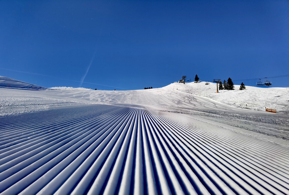 IMG_20220209_091410_edit_941569583859973