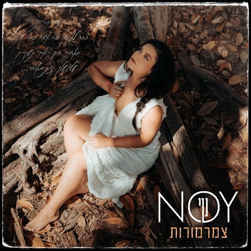 תמונה