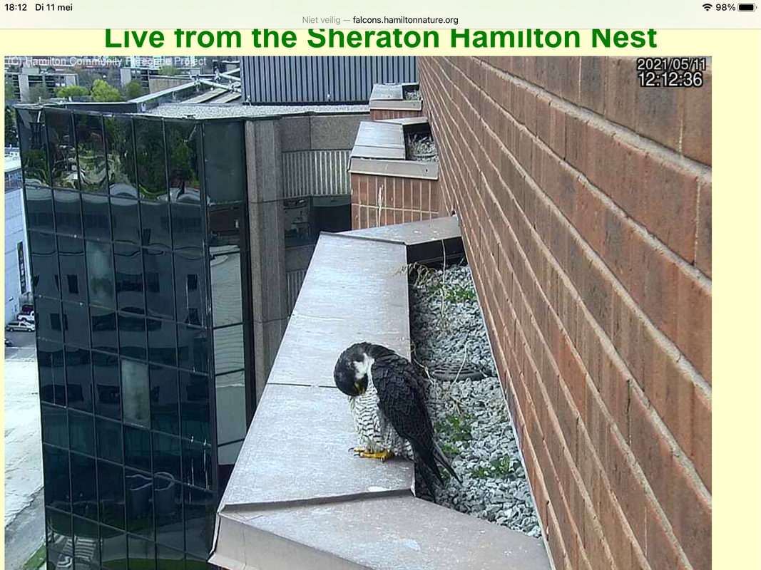 164EBD11-8FDB-480C-974B-7D26E68A39FE