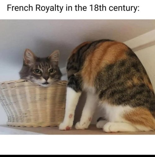 79th.jpg