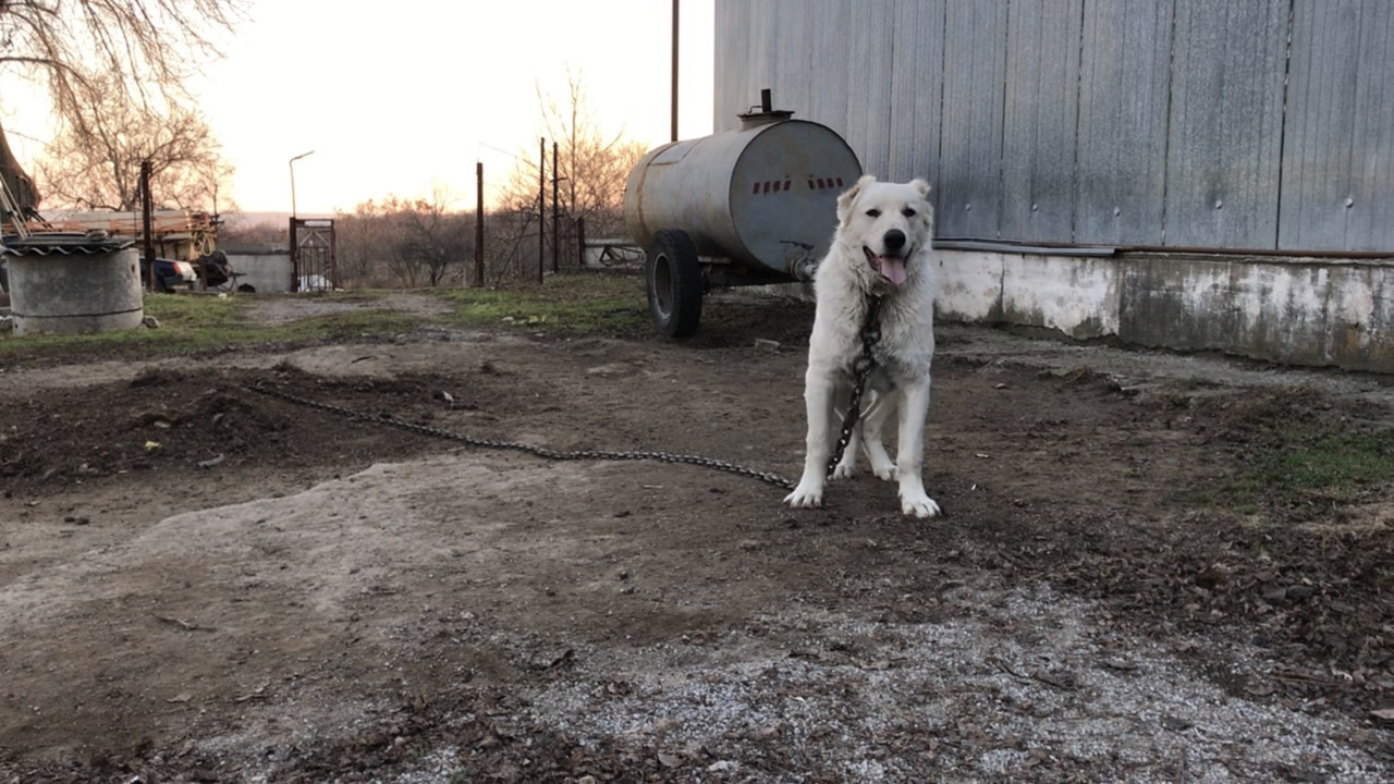 78440321-F3D1-40EE-A567-4C224D0143DE