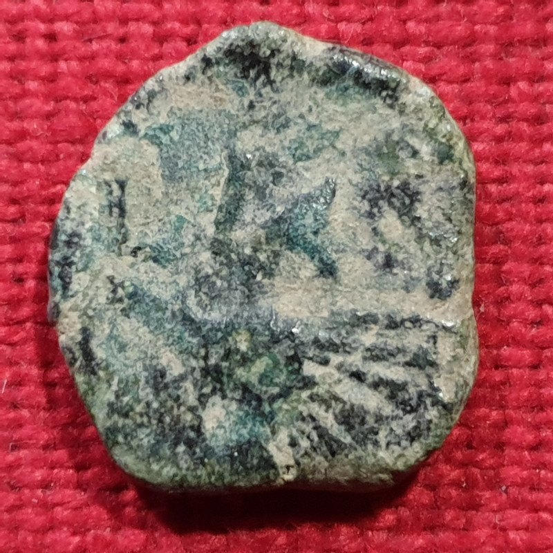 Semis de Laelia. Siglo II a.C. 20220124-130717