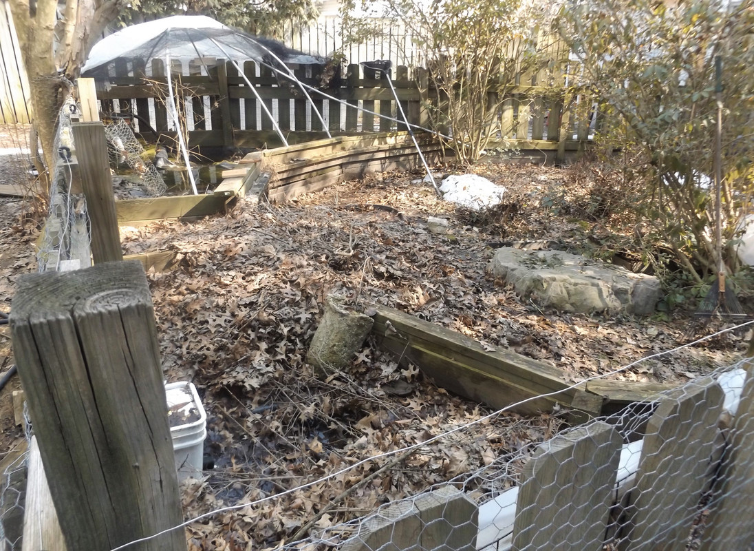 DSCF8599-2.jpg