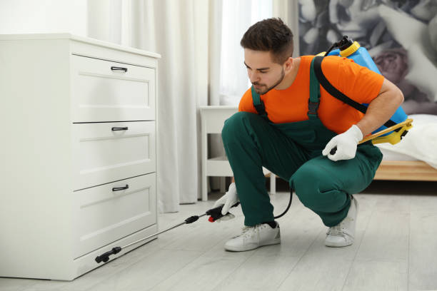 Before pest control treatment