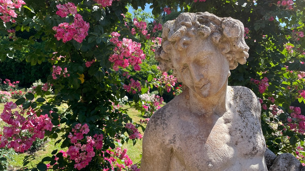 1655297408426-rosen-baden-baden-rosenneuheiten-110-v-16x9-2d-XL-77ed5d09bafd4e3cf6a5a0264e5e16ea35f