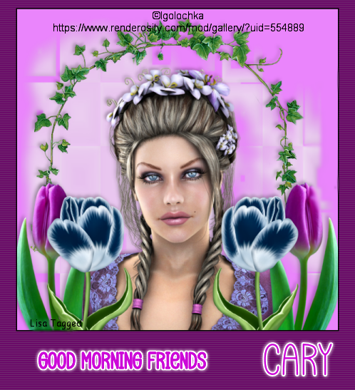 Cary Good Morning Friends