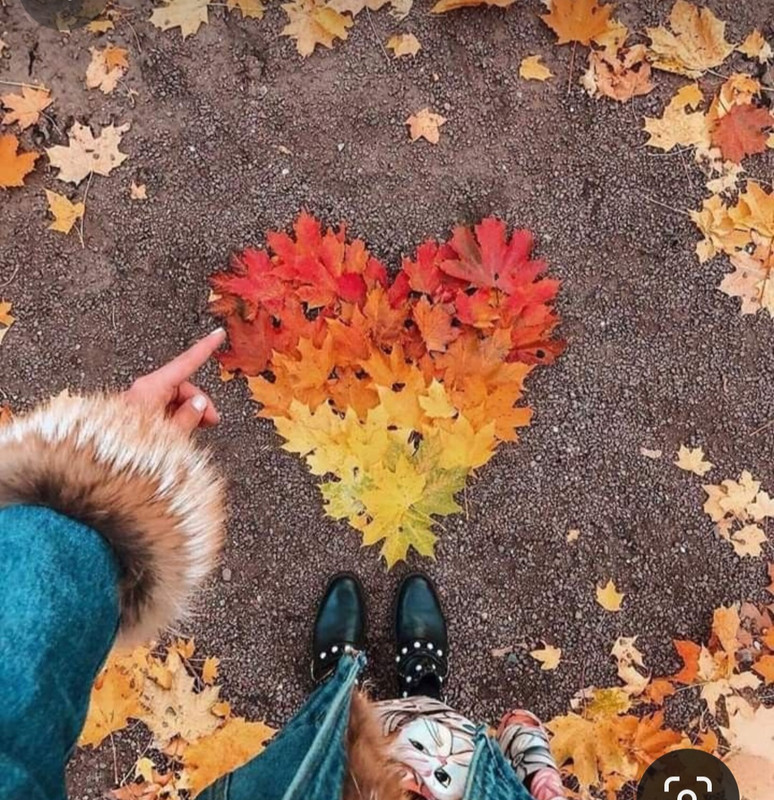 Screenshot_20240210_221542_Pinterest