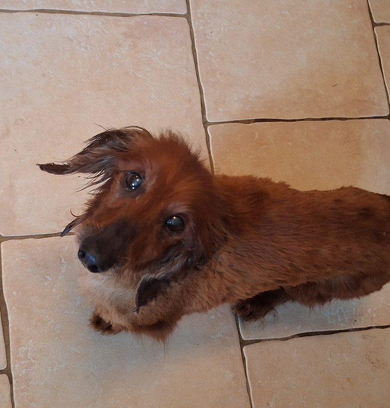 [Image: 20240328-100654.jpg]