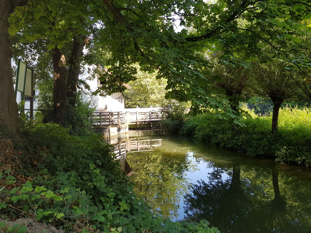 Pieter, Geulhemmer Molen 05 Terblijt 20-07-2018