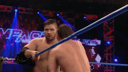 WarmAshamedAlpineroadguidetigerbeetle-max-1mb