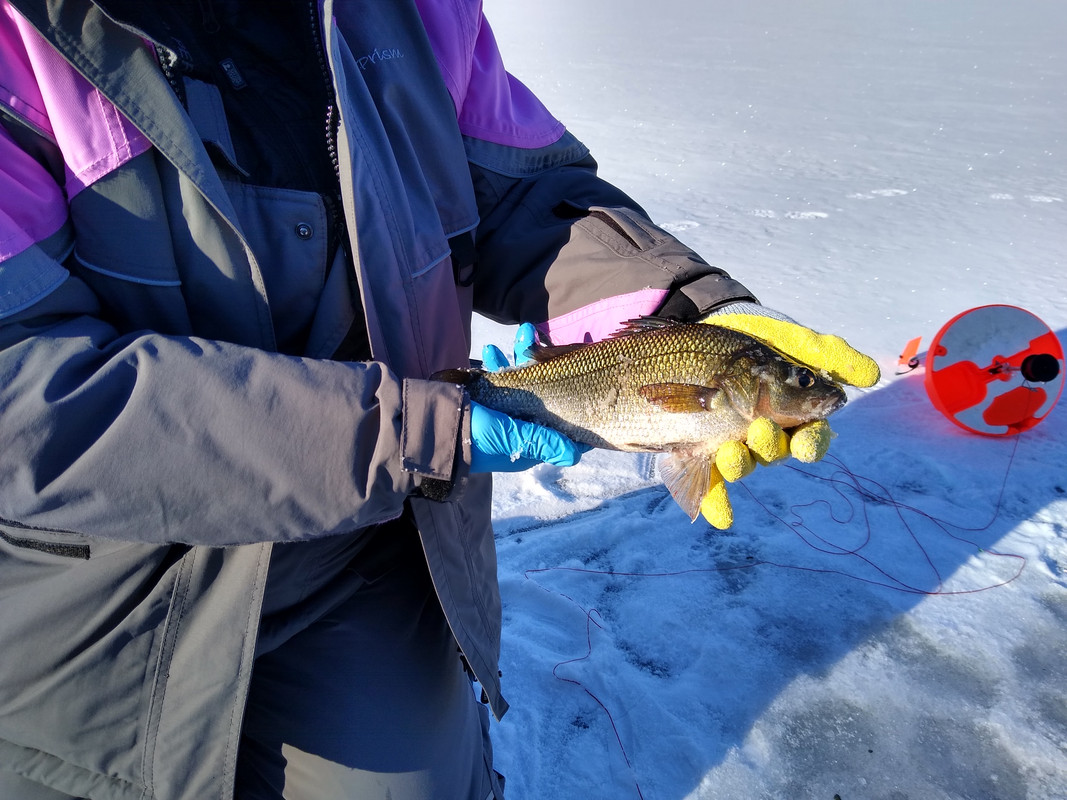 IMG_20191223_094818105_HDR
