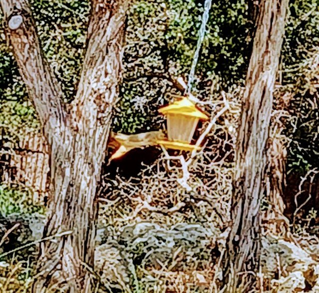 jill-reaching-for-the-oval-office