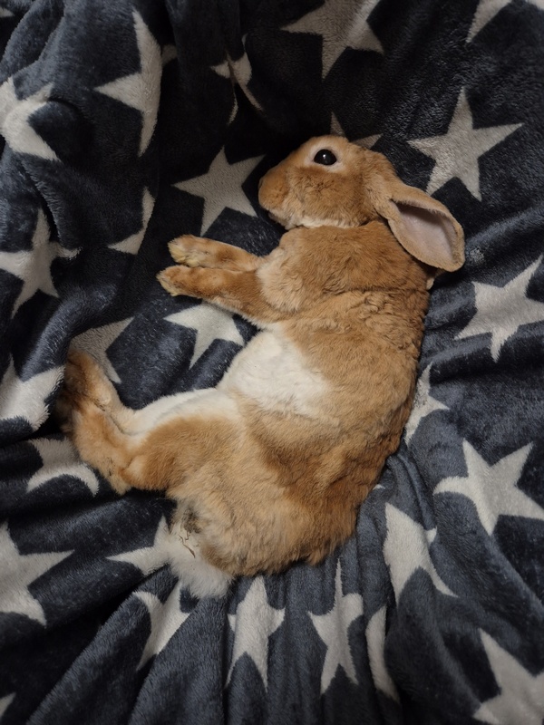 Speedy IMG_20251010_135601