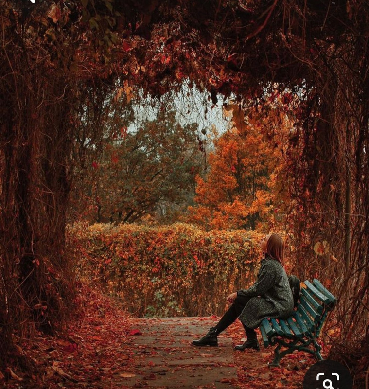 Screenshot_20231128_181144_Pinterest