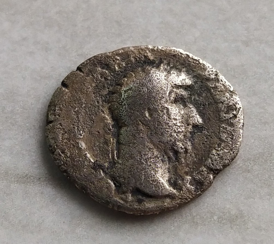 IMG_20220821_113135_1