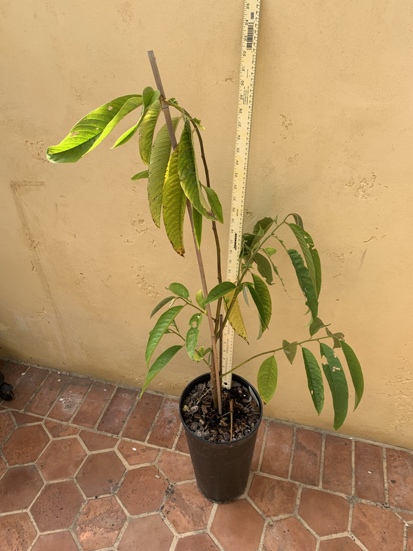 8DCBADD8-F23F-4EA6-BF55-50EEC753AFAF