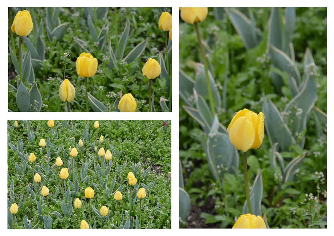 Новый коллаж.jpg 103