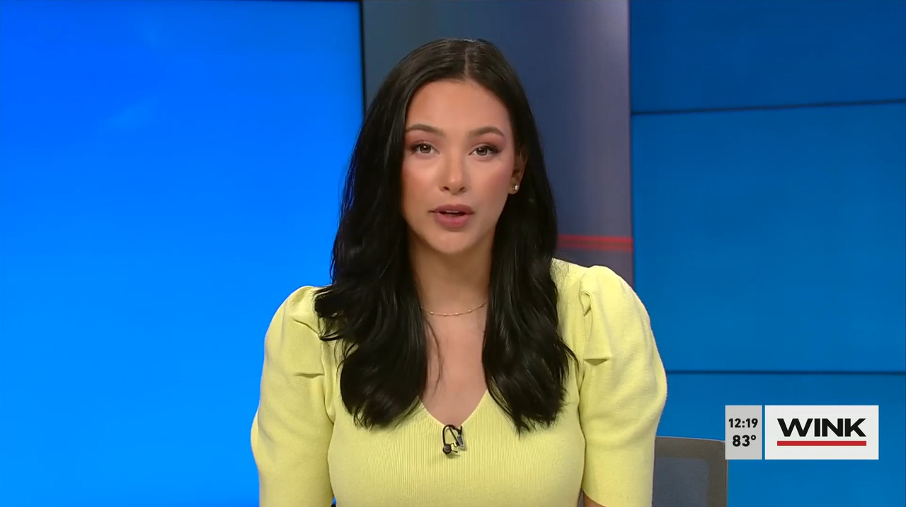 03.29 - 17.00.00 - The Wink Noon News  ᴺᵉʷ. Midday News Update.-1.mp4_snapshot_25.12.582