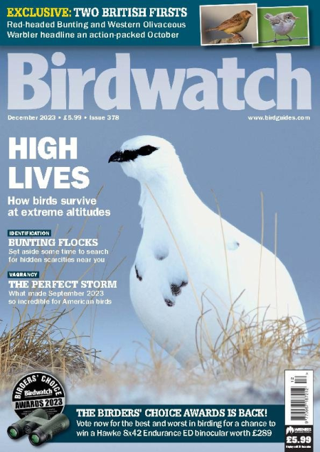 Birdwatch UK - December 2023