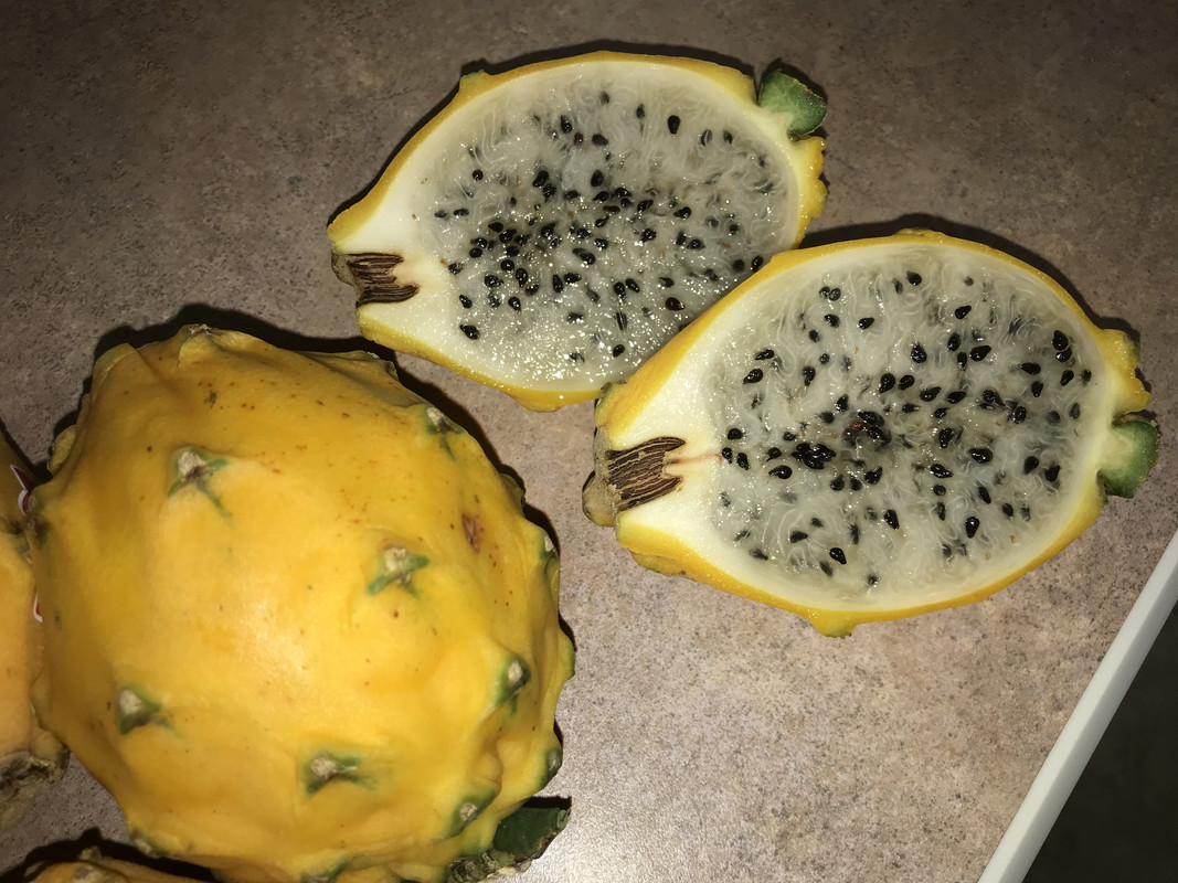 DA45D5DA-1BF0-4E26-A958-EB5F8DD3E2E8