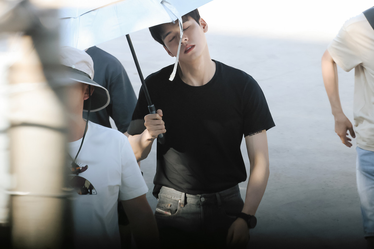 006CT39Tgy1hg1ap290wbj337224q4qq