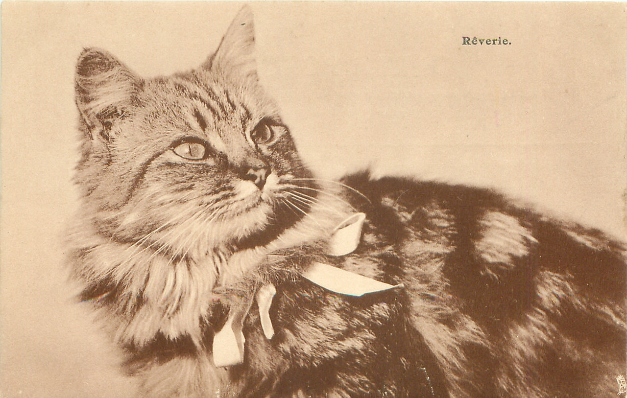 31-2011-07-31-13-42-16