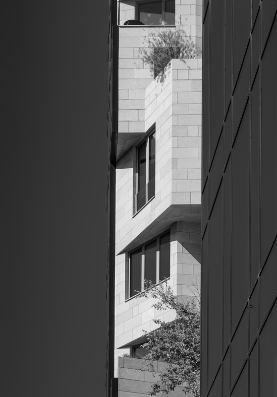 Fotografie