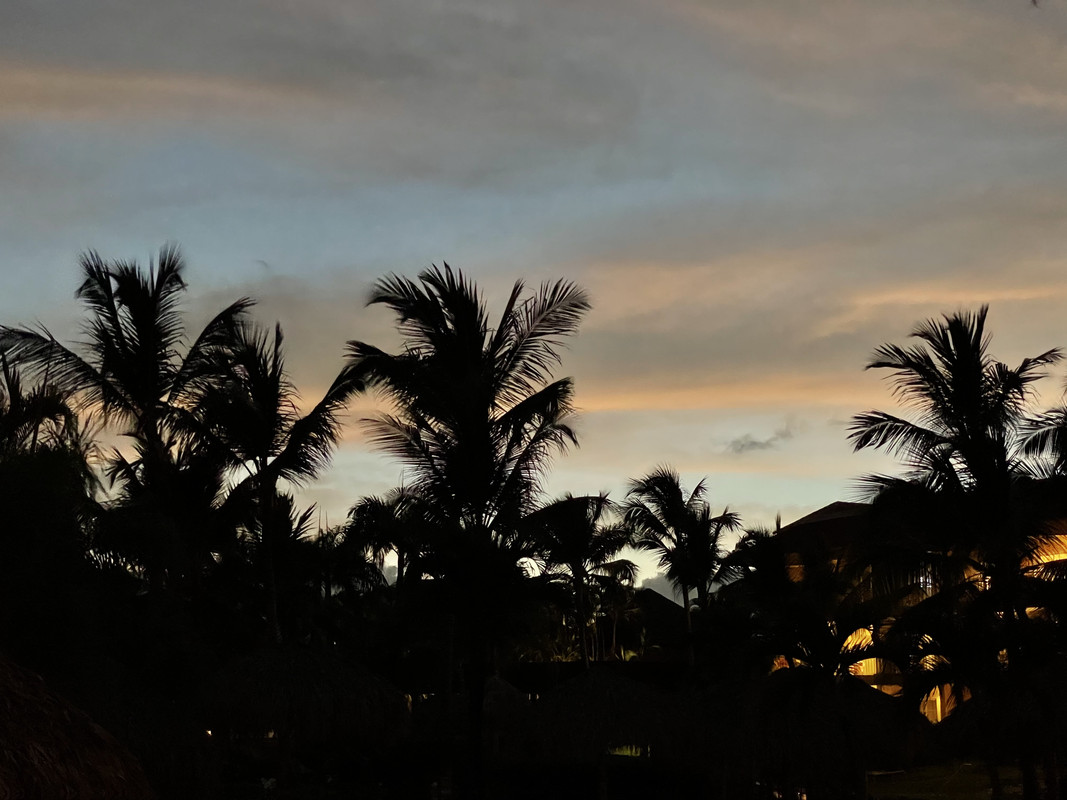 BA98B128-9E05-422A-B918-3D59B73E3211