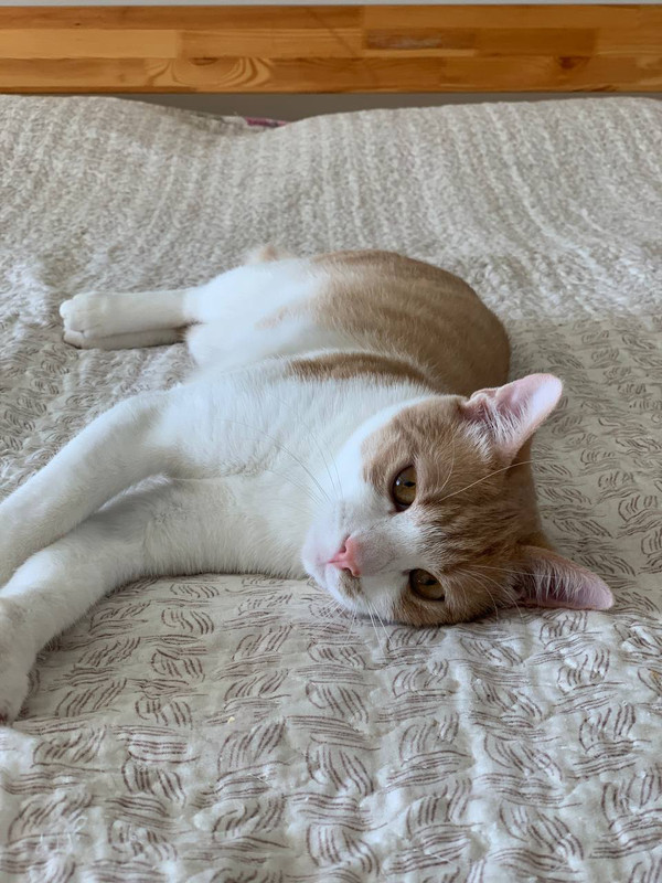 BFE4E169-3E7D-4A05-B32F-AD82C6FA05A9