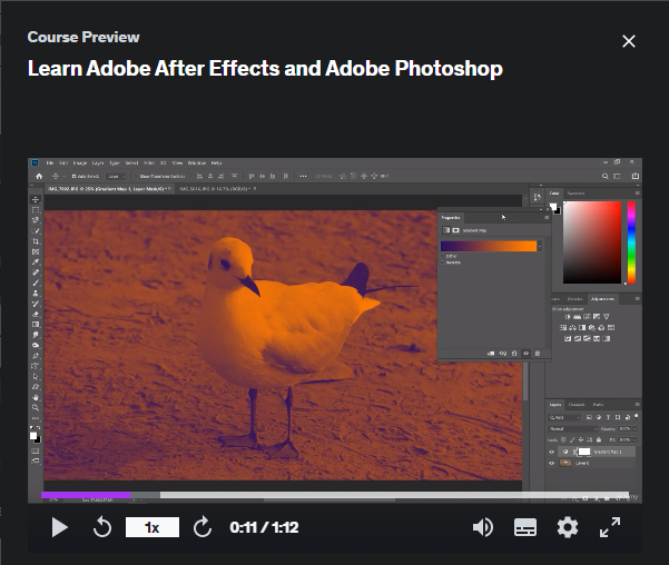 Learn-Adobe-After-Effects-and-Adobe-Photoshop