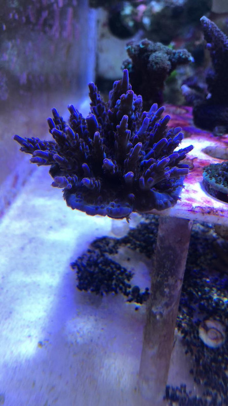 0352F68A-5925-4708-872E-7F5795E45575