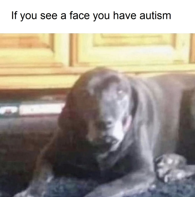 1677174008145348.jpg