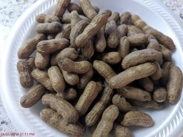 [Image: IMG-20190624-131112.jpg]