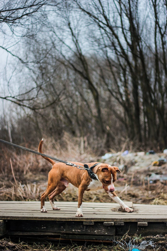 без имени-0524