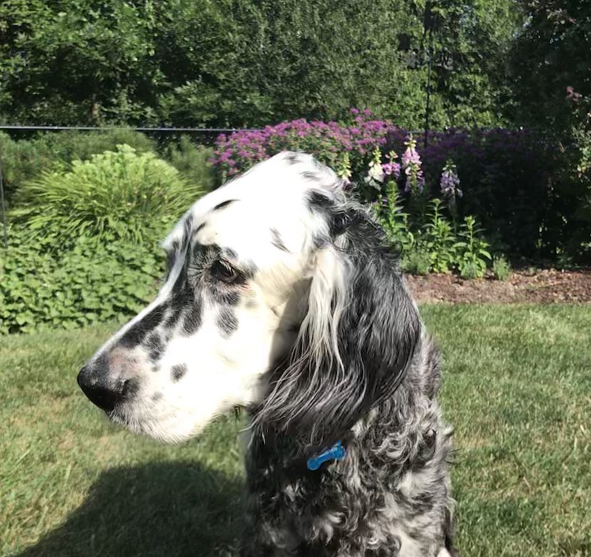 D48B6B53-EEF6-4472-B029-E8D77F2ED348