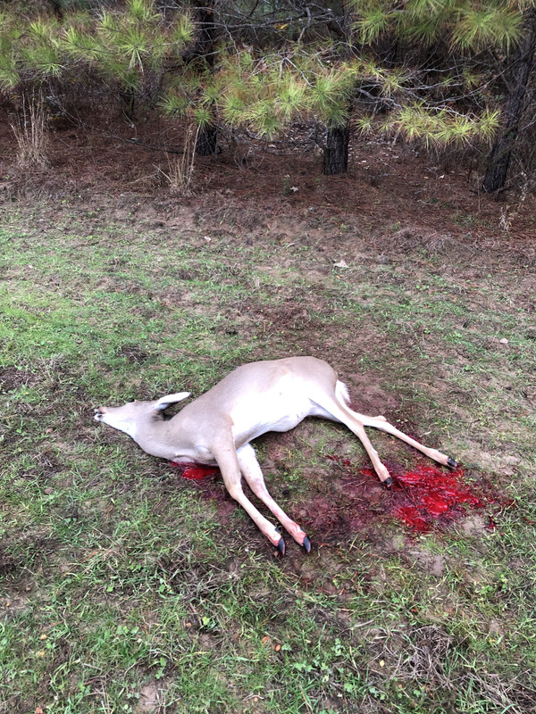 78AB99DD-7130-42B0-BF14-34FC542A5F8A