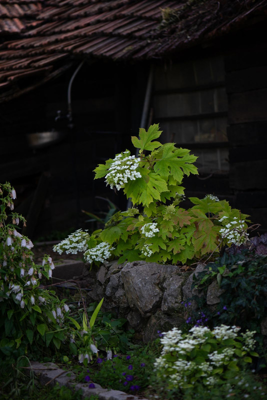IMG-7eeb57f9cb0f992cf4aaadb05ef356d0-V