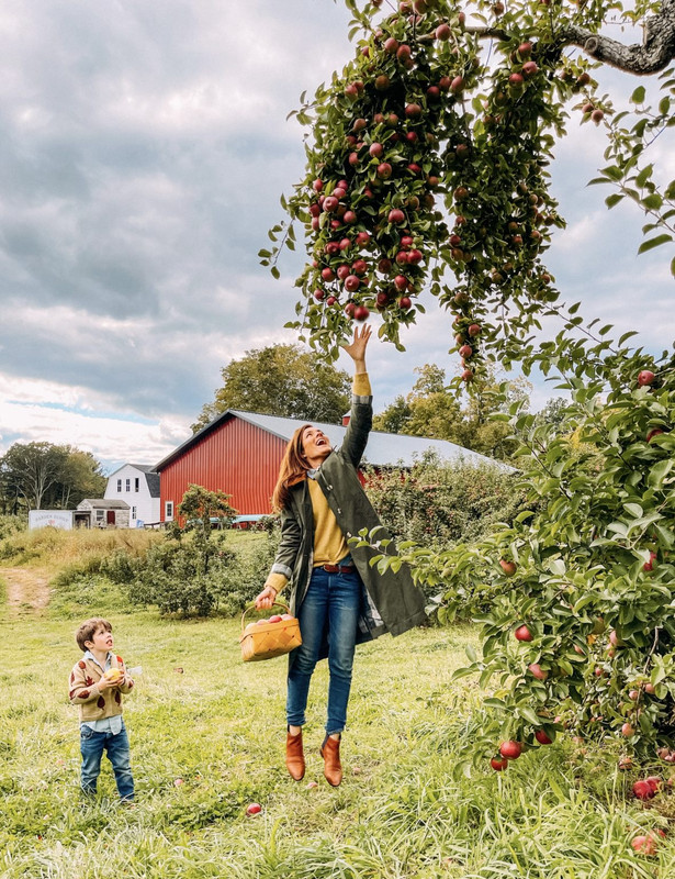 ���� ���� ������ �� ���� ������