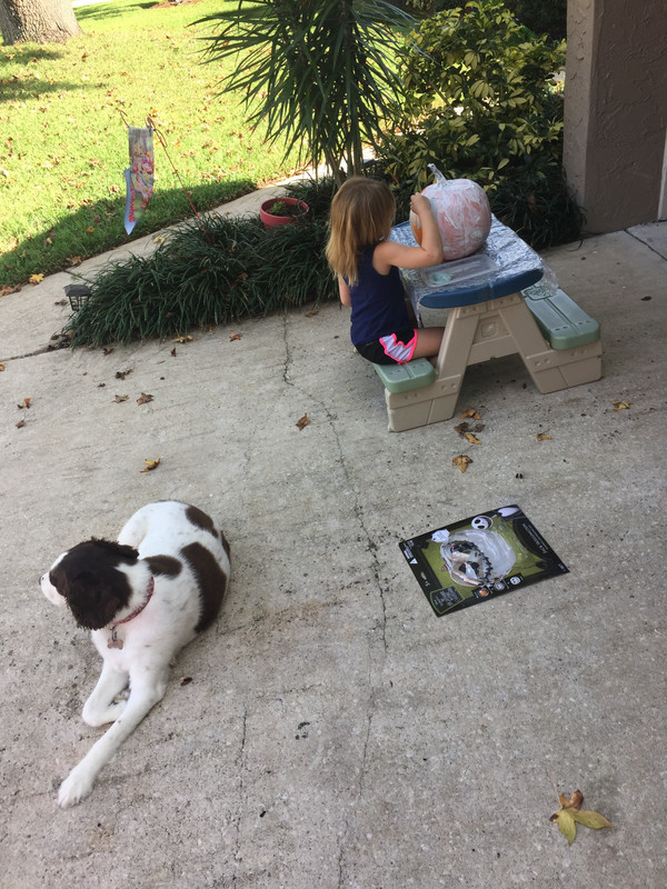 2F0A873A-BB28-4EDC-BFA0-9BE51E6AA8B3