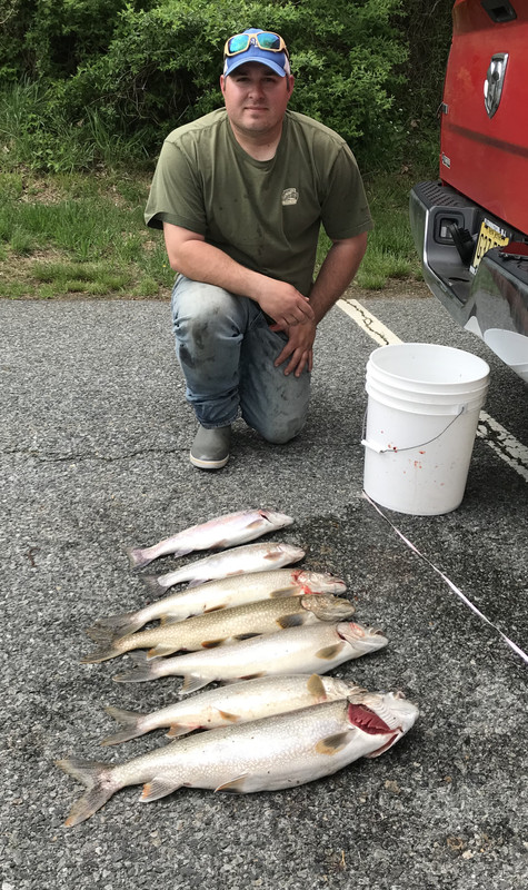 323F9C54-9502-43FE-81FA-791C1415EC23