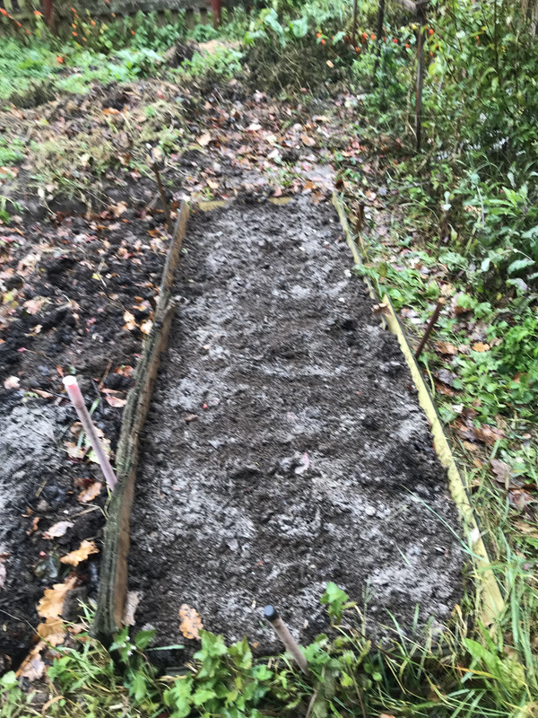 8E1BFD69-F8CC-4A34-86BB-C7F39EF72F57