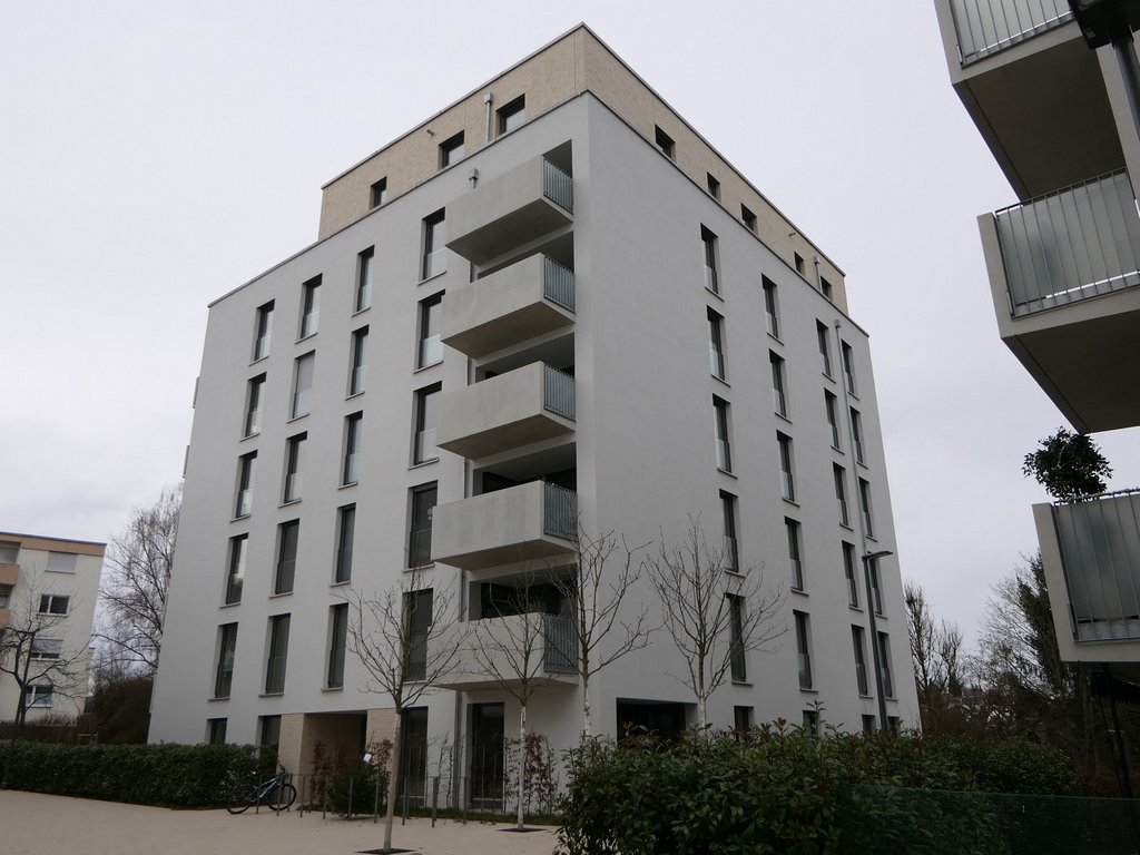 P1740252.jpg