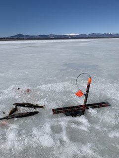 0CC81A2A-F3A5-4637-8B57-22198F824039