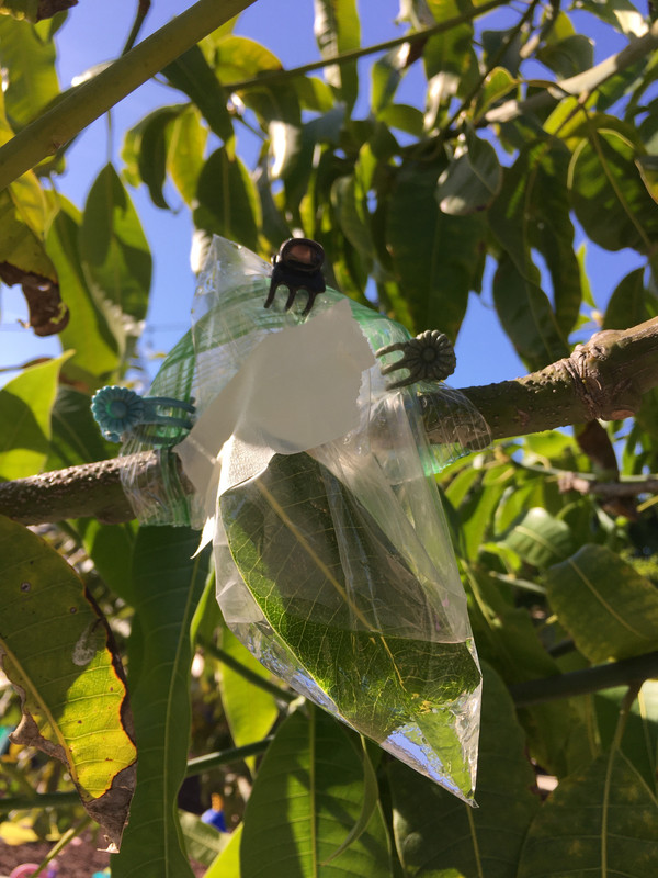 7EB710D3-6733-4F00-96D6-07B6019612FD