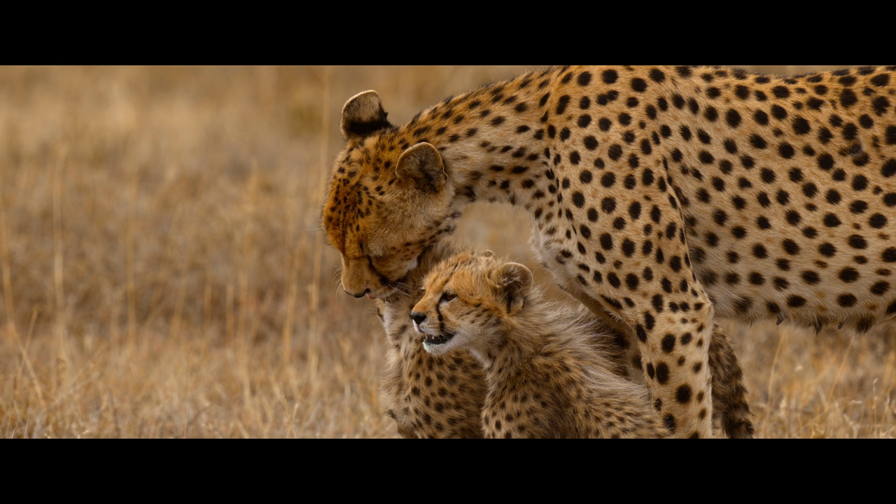 vlcsnap-2022-11-22-10h00m30s338